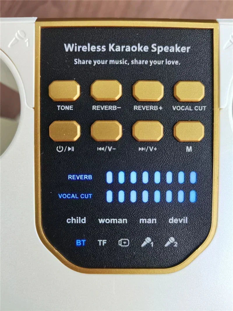 High Power Portable Karaoke Bluetooth Speaker with 2 Mics & 360° Surround