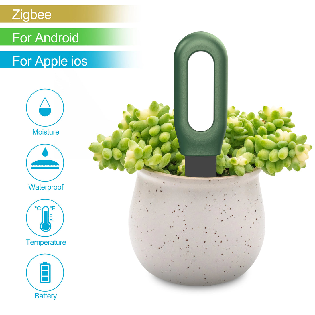 Haozee Tuya Zigbee Smart Soil Sensor – Temperature, Humidity & Moisture Monitor