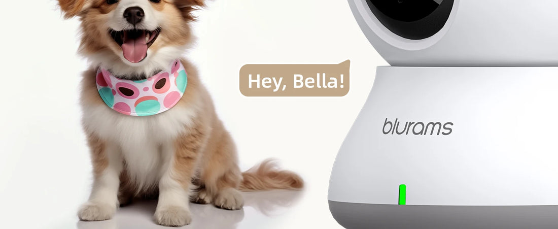 Blurams 2.4 & 5G WiFi Indoor Camera 2K HD – 360° PTZ, Night Vision, 2-Way Talk, Pet & Baby Monitor