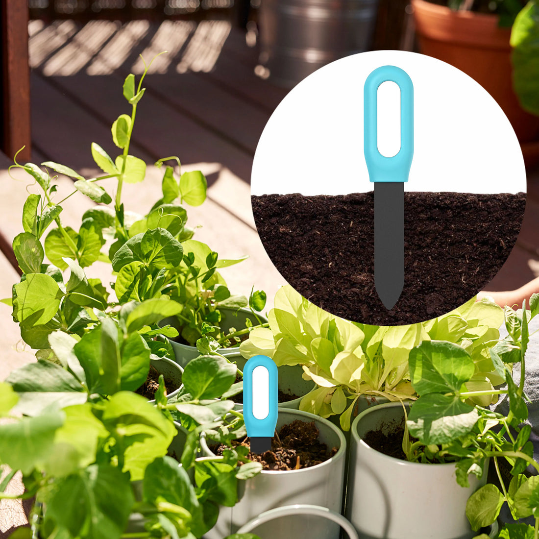 Haozee Tuya Zigbee Smart Soil Sensor – Temperature, Humidity & Moisture Monitor