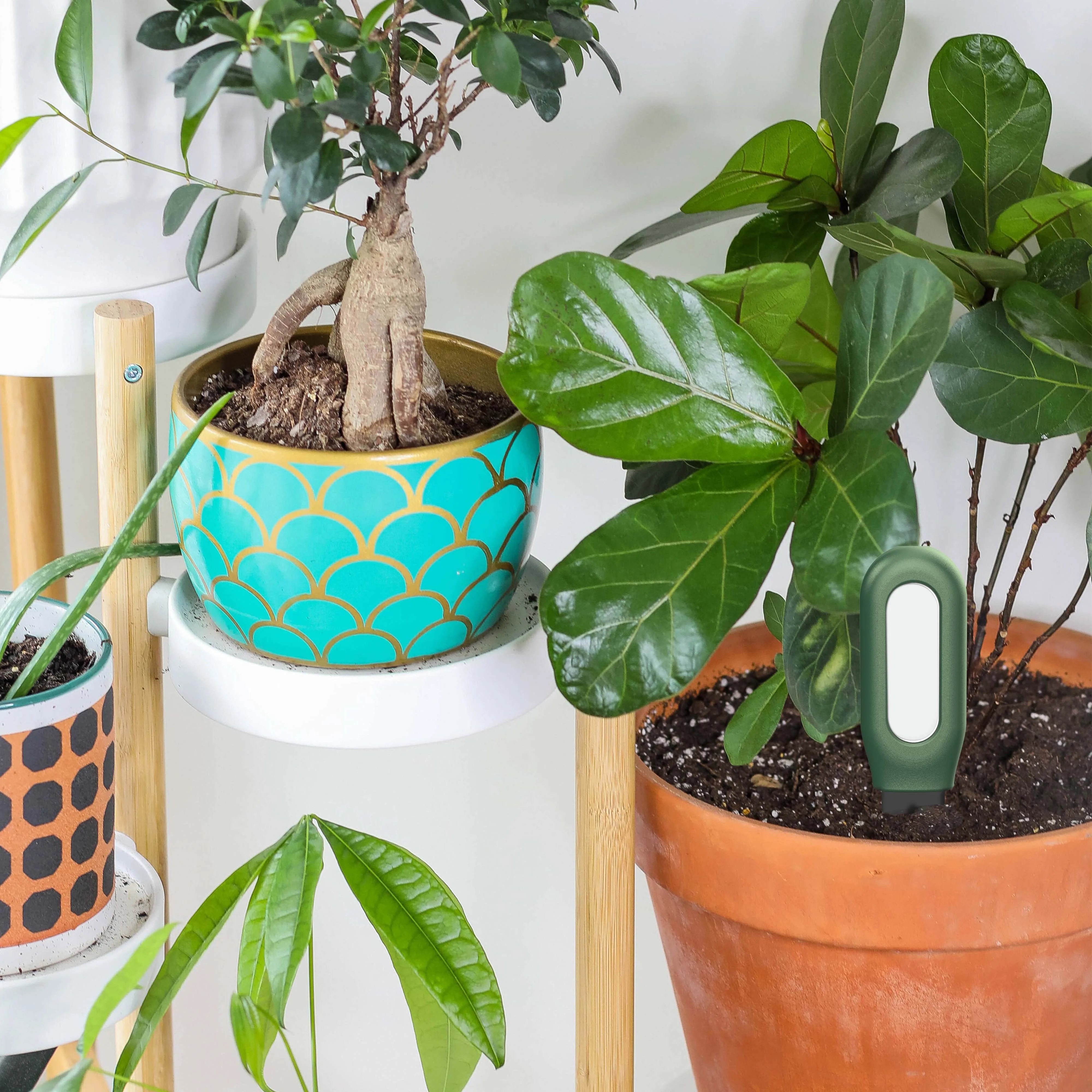 Haozee Tuya Zigbee Smart Soil Sensor – Temperature, Humidity & Moisture Monitor