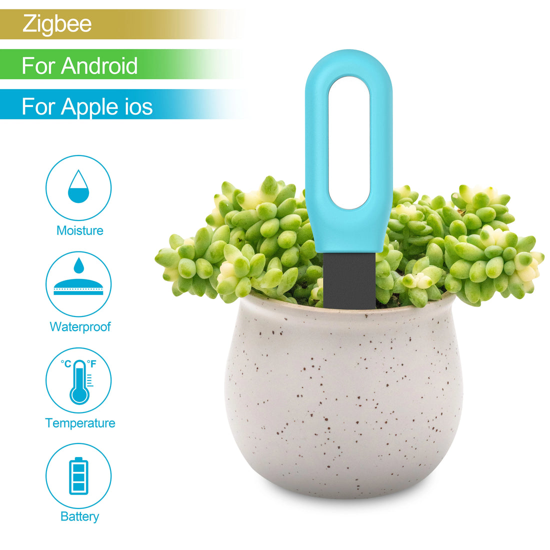 Haozee Tuya Zigbee Smart Soil Sensor – Temperature, Humidity & Moisture Monitor