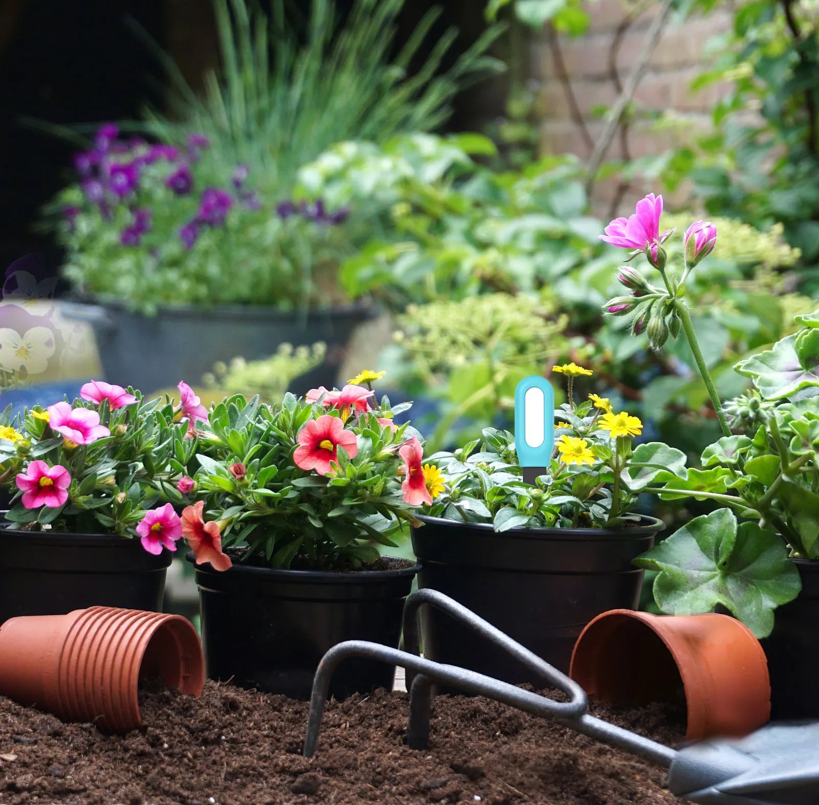 Haozee Tuya Zigbee Smart Soil Sensor – Temperature, Humidity & Moisture Monitor