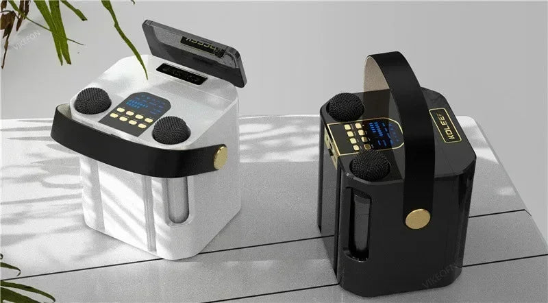 High Power Portable Karaoke Bluetooth Speaker with 2 Mics & 360° Surround